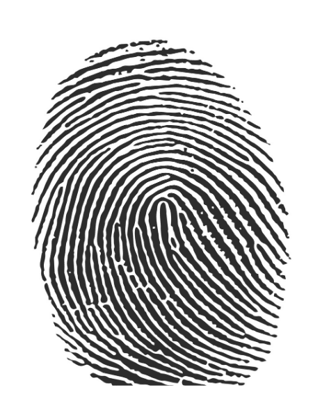 fingerprint